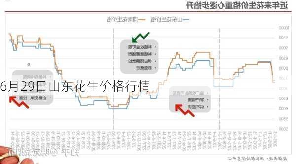 山东花生米价格走势分析最新报告