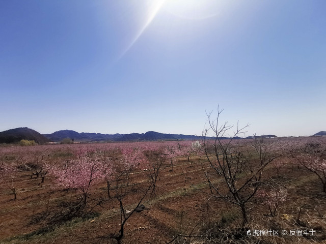 探访暖春花开地新址，自然人文之美交相辉映的秘境