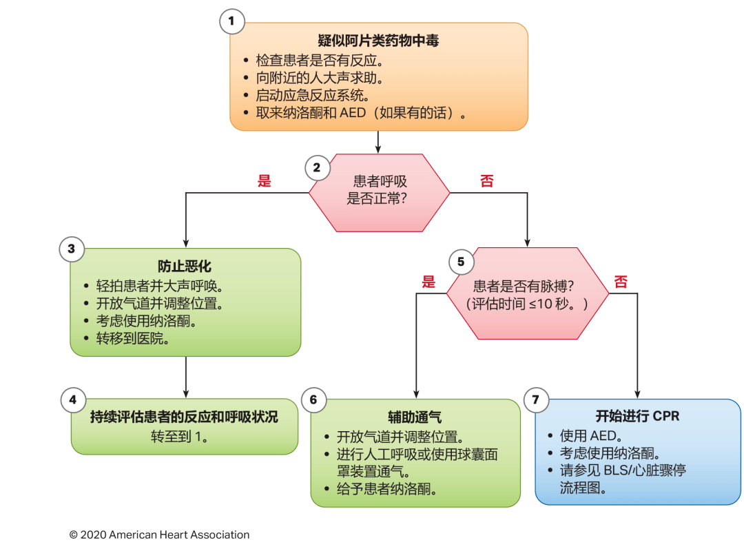 急诊抢救流程图优化，提升急救服务效率与抢救成功率