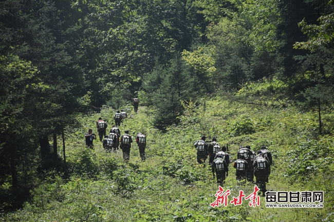 赤峰林场改革新动向，探索绿色发展新模式