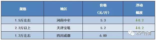 最新生鱼收购价格动态解析报告