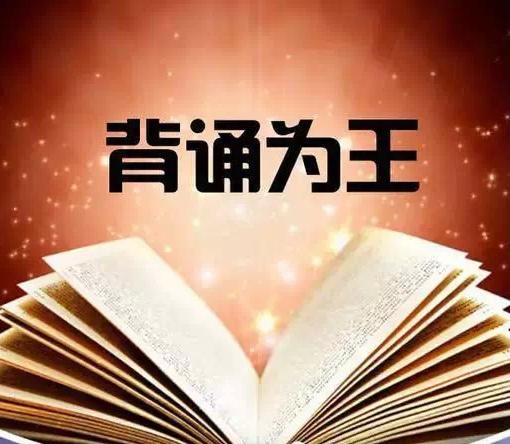 2024天天彩正版资料大全,深入解析落实策略_轻量版0.736