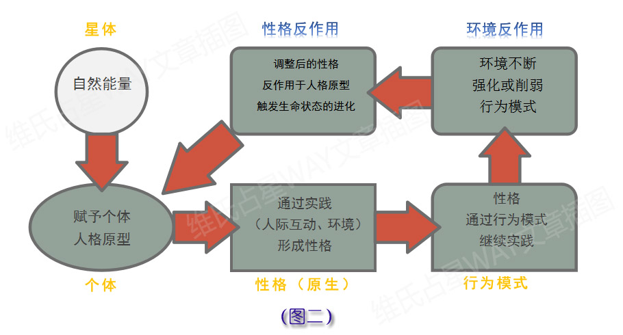 澳门内部资料和公开资料,完善的执行机制解析_专家版8.99