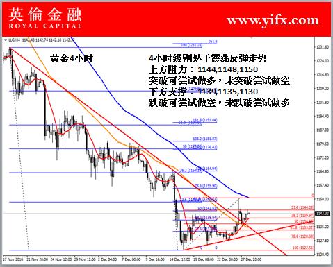 2024新澳资料大全免费下载,市场趋势方案实施_专家版5.125