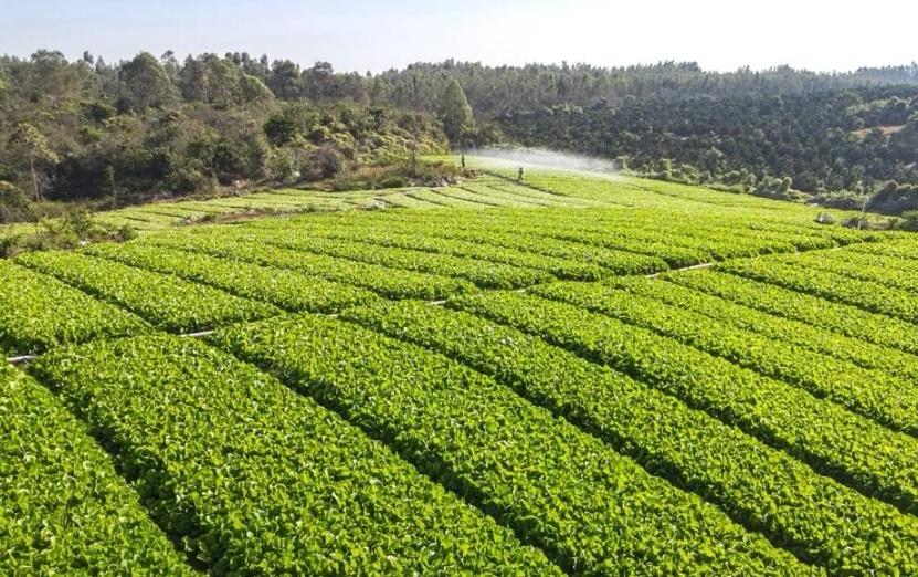 电白水东最新楼盘探析，最新在售楼盘一览