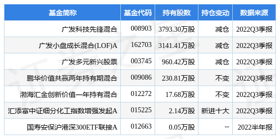 新奥2024正版资料大全,先进技术执行分析_潮流版2.846