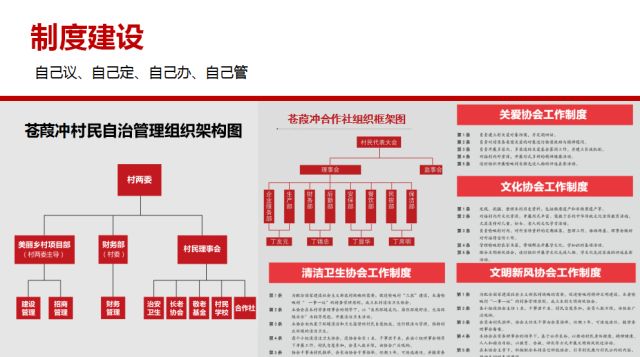 新澳门今晚精准一肖,综合解答解释落实_官方版7.336