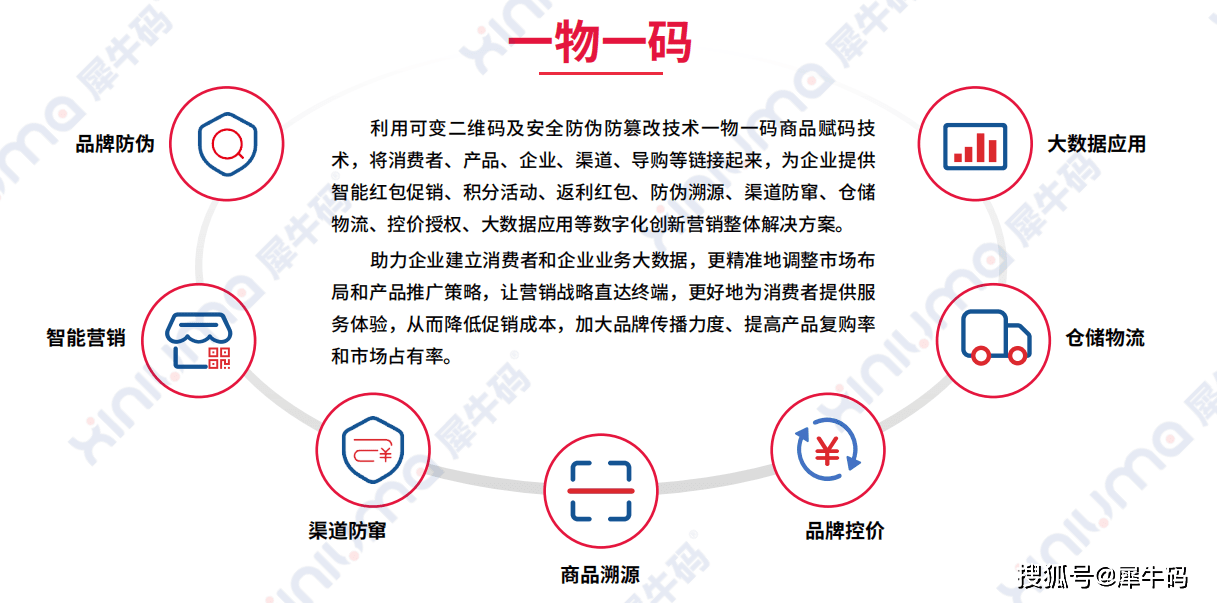 一肖一码100-准资料,数据驱动执行设计_安全型6.595