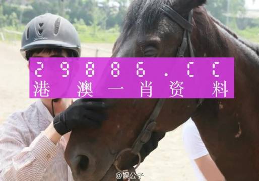 澳门今晚必中一肖一码,敏锐解答解释现象_用户版1.603