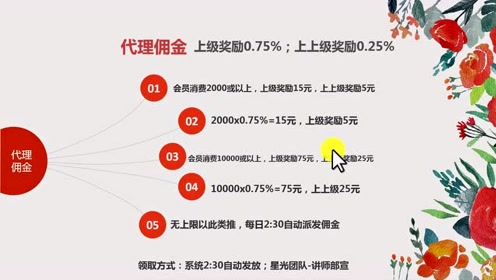 揭秘一肖一码100精准,经济性执行方案剖析_云端版2.812