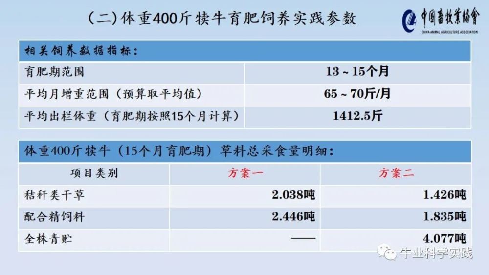 新澳2024资料免费大全版,参数解答解释落实_独立集4.908