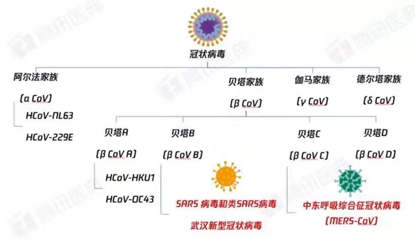 2024新澳天天彩资料免费提供,数据支持设计解析_C版28.521