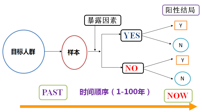 4949免费资料2024年,实践性计划推进_VR版51.776