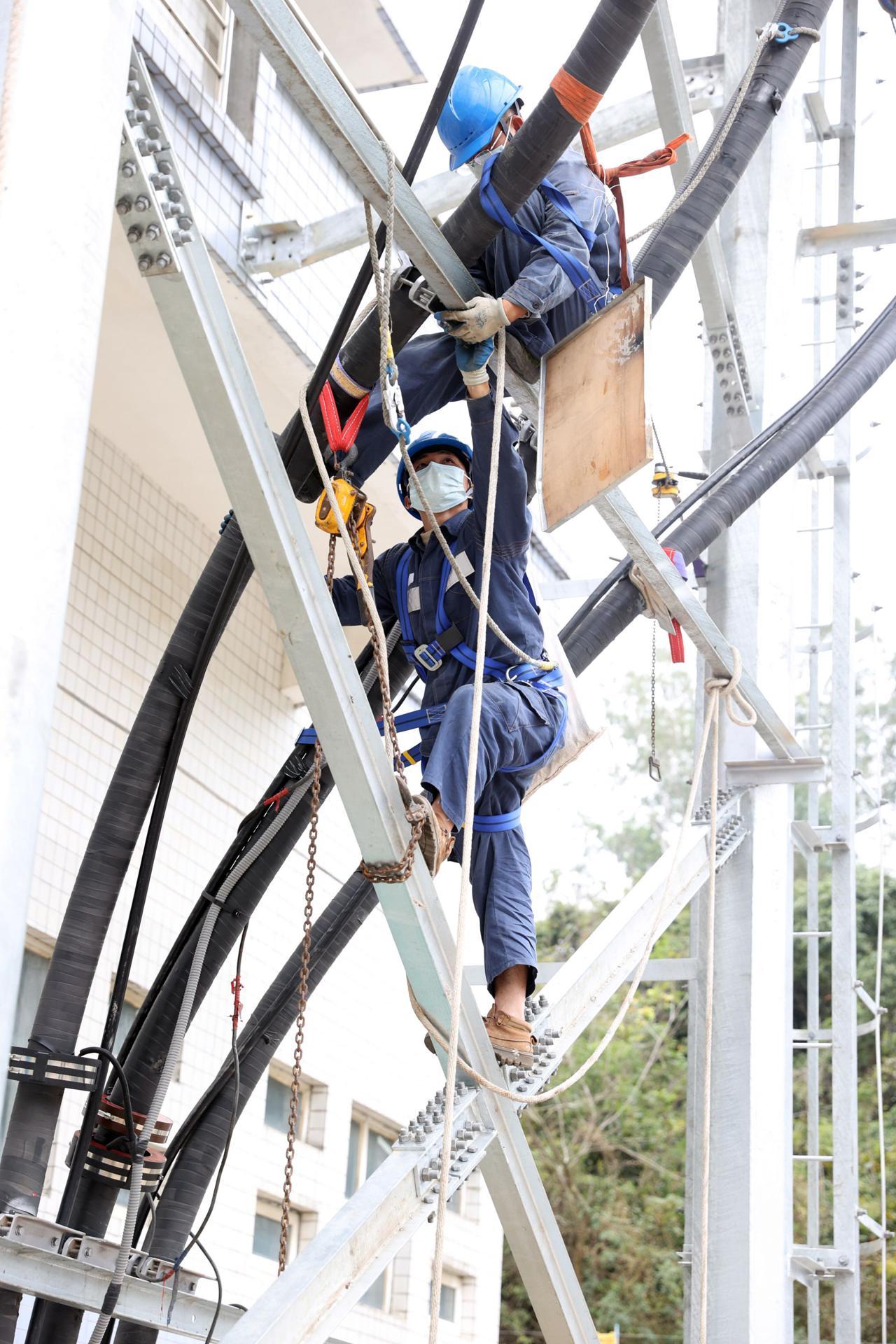 沙井奇宏最新招聘信息及其行业影响力分析