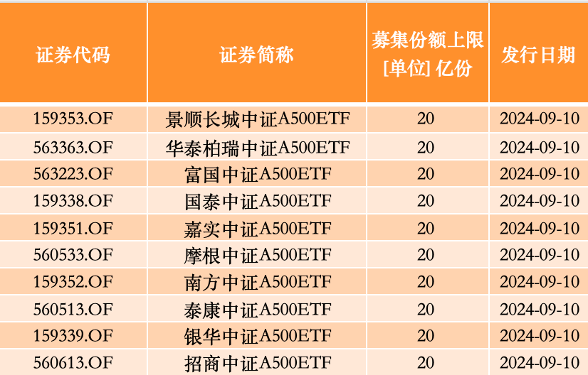 澳门一码中精准一码的投注技巧,精简解答解释落实_复刻品5.516