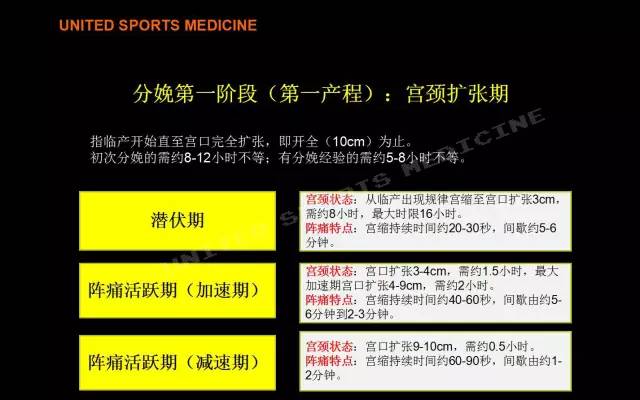 三肖必中特三肖必中,适用性执行方案_3D款8.072