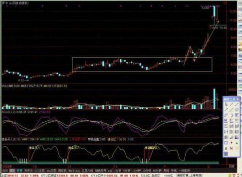 罗牛山股票最新消息全面解析