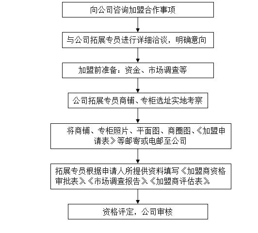 新奥精准特安全评估方案Vx.1_新版JHS533.89实操版