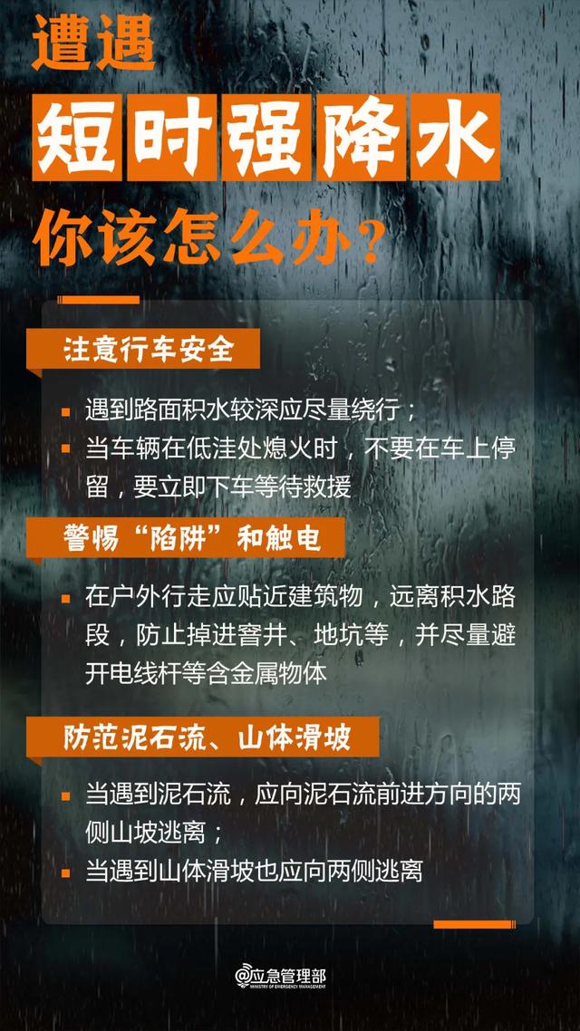 新奥精准免费资料库，安全策略深度解析——NPA50.3版解析版