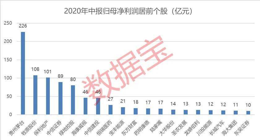 2024年11月16日 第13页