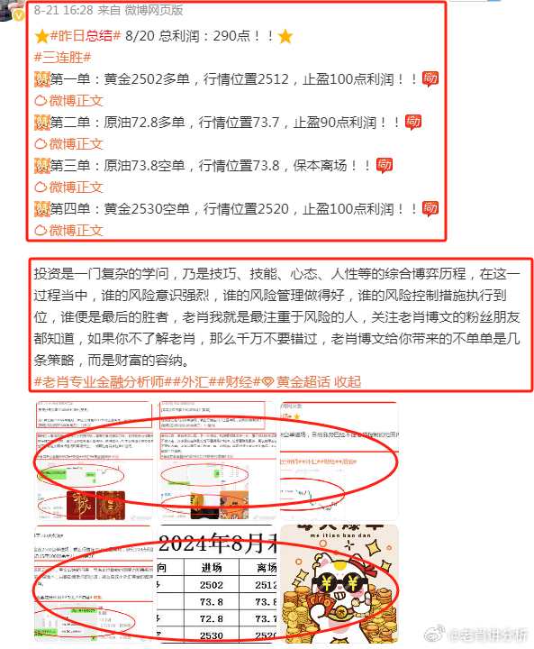 2023澳门管家婆资料权威全集，安全攻略深度解析_GZJ512.37快速入门