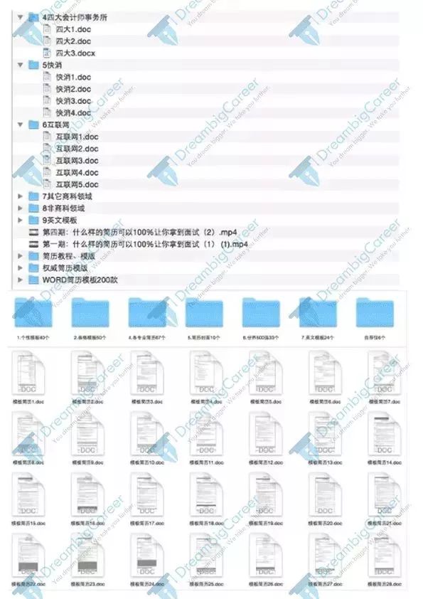 最新正版新澳资料，精选动漫版PIB206详解