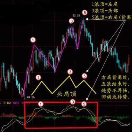 澳门一肖期期中100%，揭秘精准预测奥秘_社区版DVI248