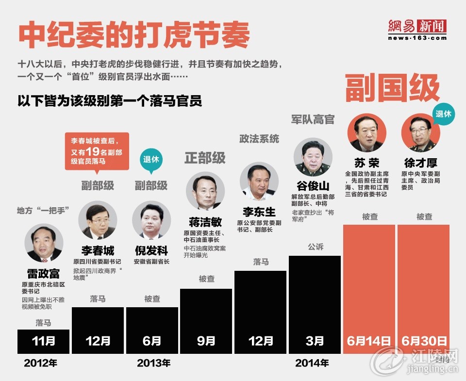 中央反腐斗争取得显著成效，巨虎落网最新消息披露