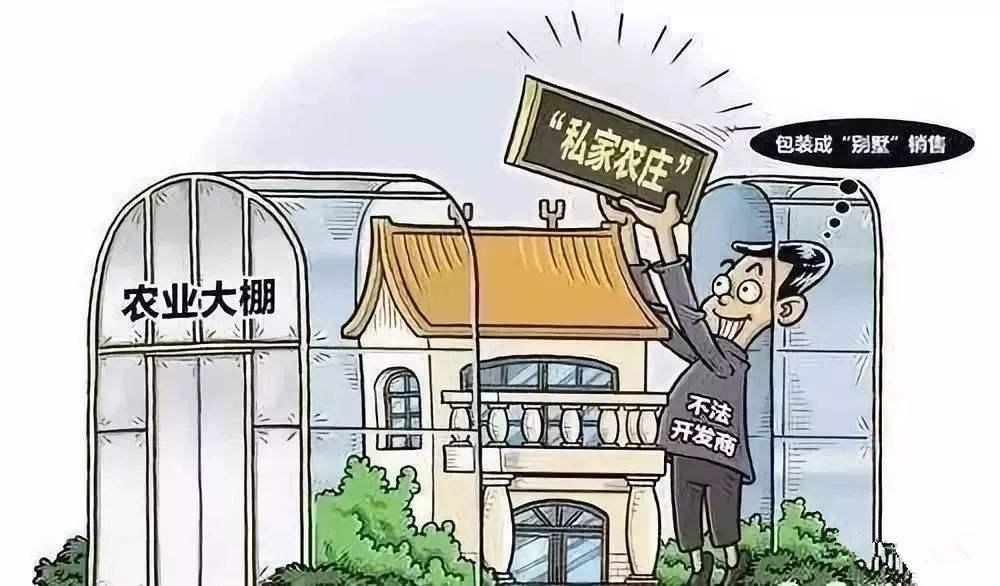 山东金河投资最新消息深度解读与分析