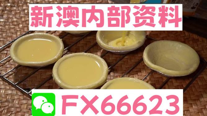 新澳精准资料免费大全,专业执行问题_动态版VCH349.22