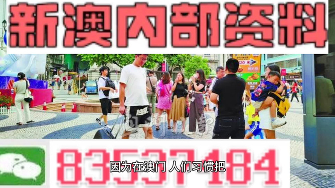 2024新澳精准资料大全解释,获取精准、可靠的资料成为了各行各业的关键需求