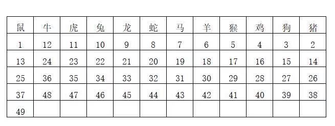 494949最快开奖结果+香港449,不仅仅是一个数字组合