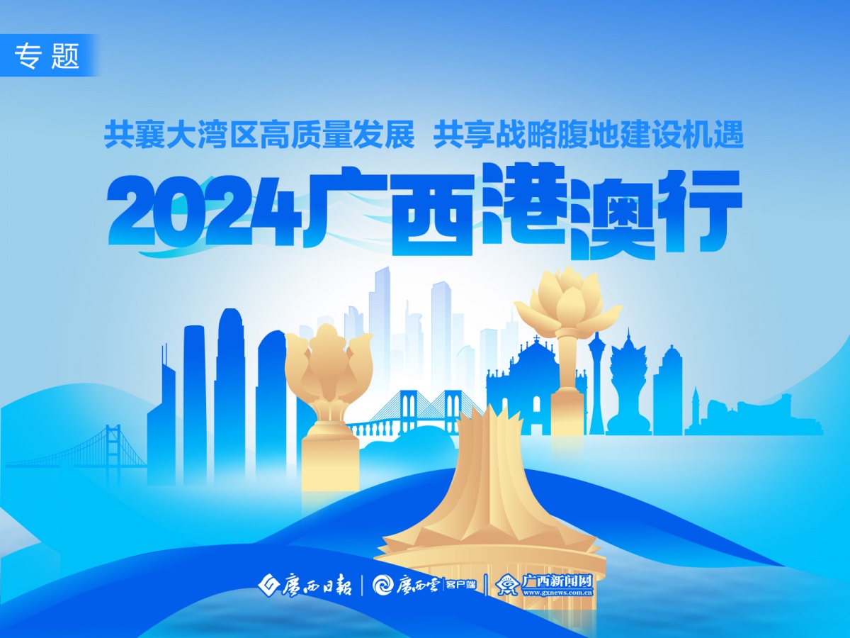 新澳2024年精准正版资料：优化投资策略的关键指南