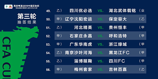 新澳门精准四肖期期中特公开2024年237期,这一话题无疑引起了广泛关注