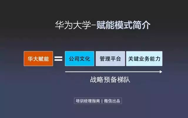 曾夫人论坛最新免费资料：揭秘成功背后的关键策略