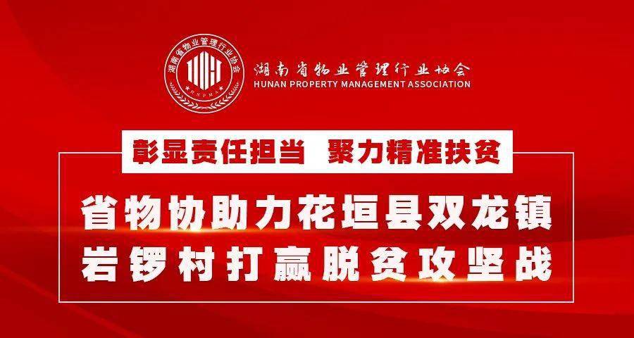 香港最快最精准的资料,政府官方网站和行业协会的公告是获取权威资料的重要途径