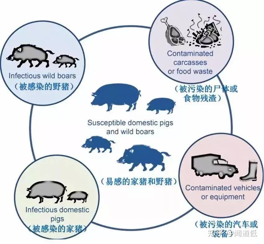 新澳精准正版资料免费：获取高质量信息的秘诀与途径