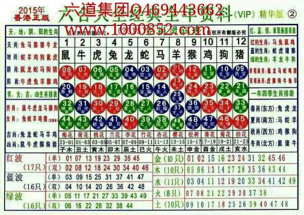 2024年12生肖运势解析：数字排码表图揭示新机遇与挑战