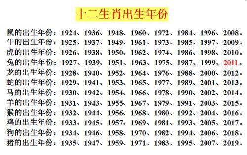 2024年十二生肖49码表：揭秘运势与数字的奥秘