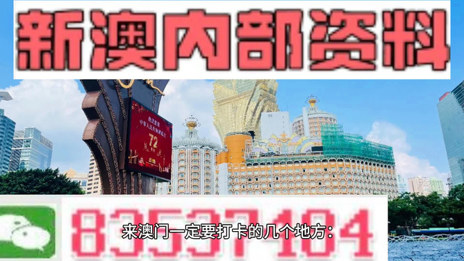 2024澳门历史记录查询,本文旨在探讨“澳门历史记录查询”的重要性