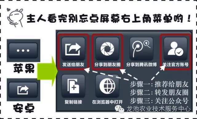 新奥天天免费资料大全：知识宝库的全面解析与应用指南