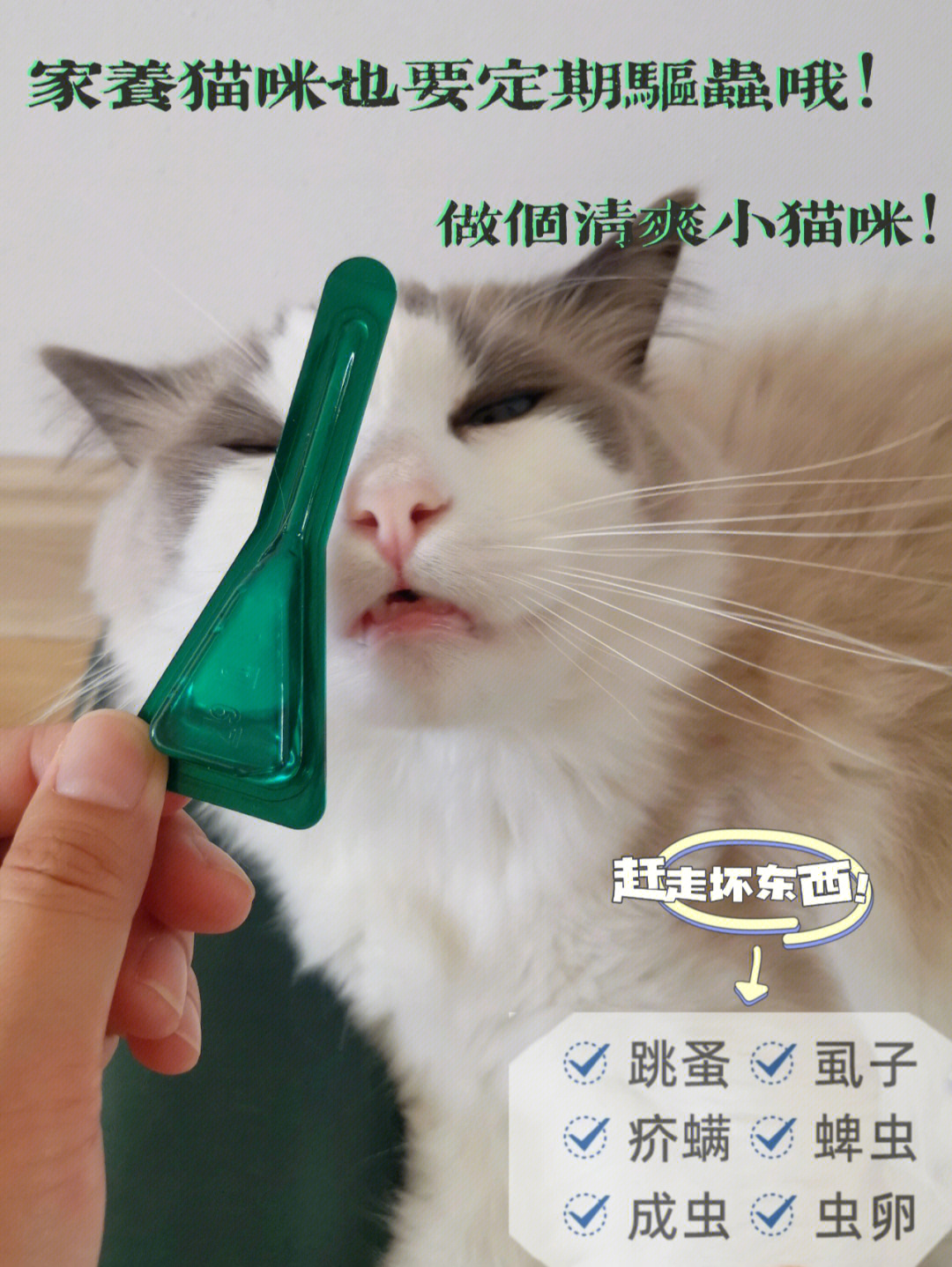 7777888888管家精准管家婆免费,小猫咪多大可以驱虫_领航版9.38