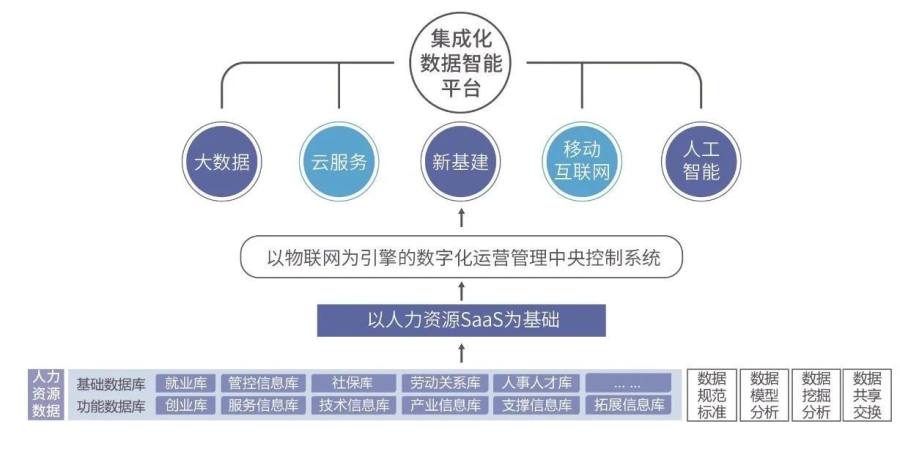 新门内部资料精准大全：企业决策的智慧之源