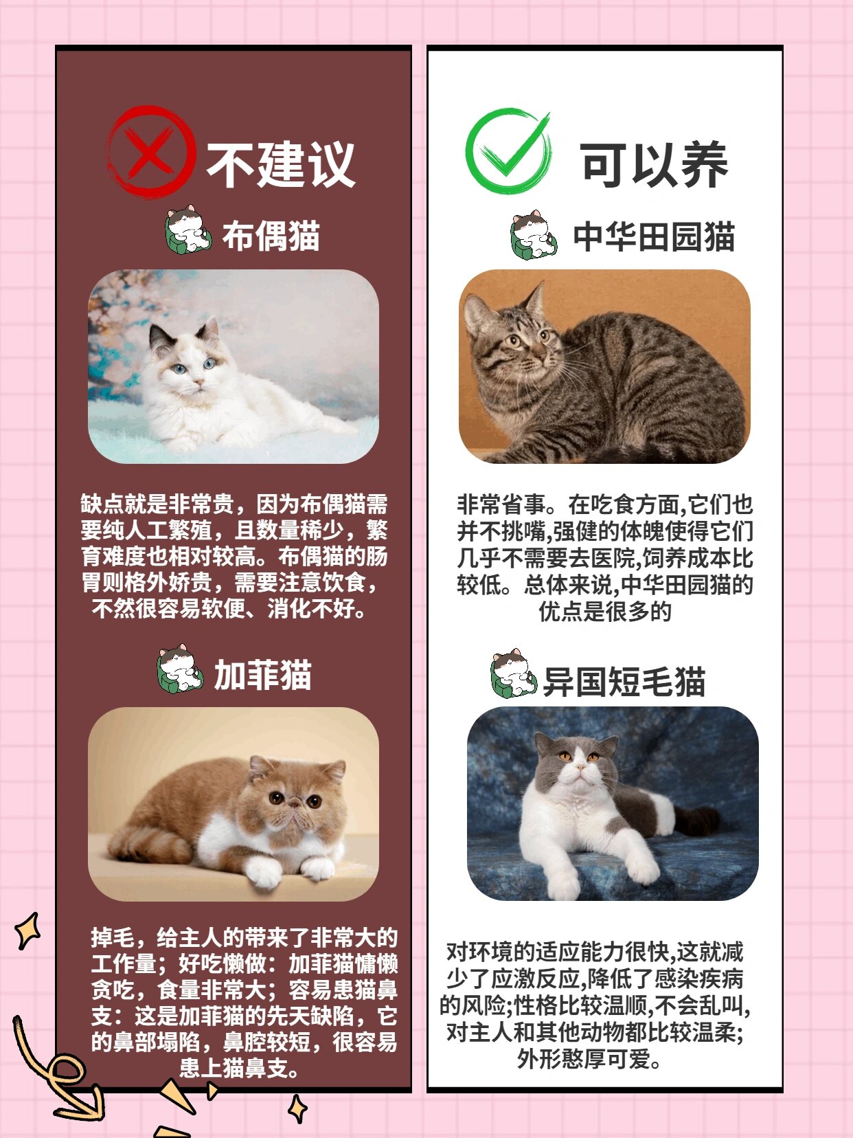 新奥天天免费资料公开,猫咪不可以吃什么_起步版8.142