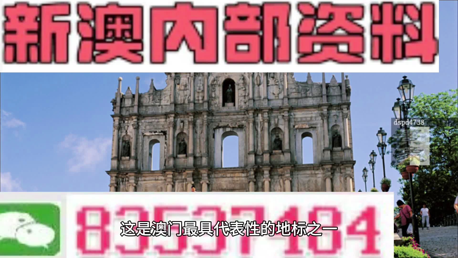 2024新澳精准正版资料,狗狗拉屎粘_低级版1.341