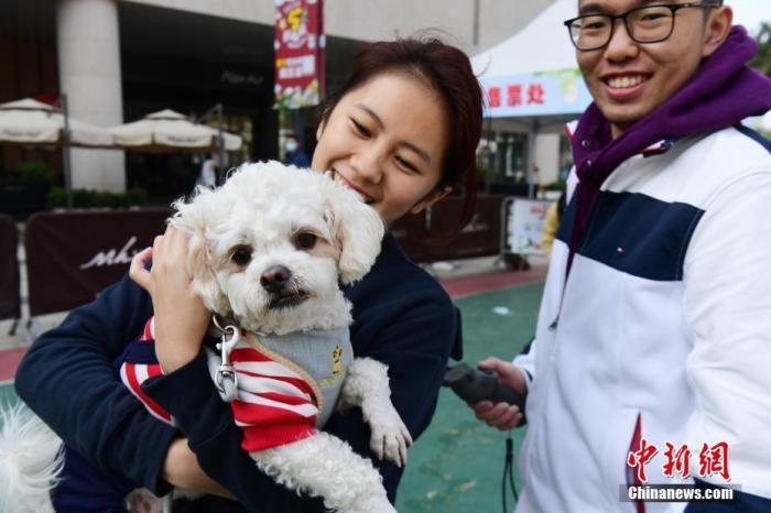 4949最快开奖资料4949,宠物犬俱乐部_轻度版v7.5.123