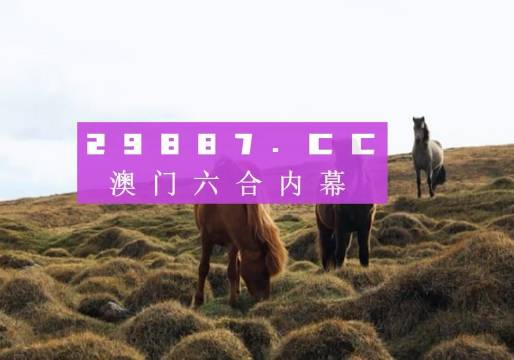 494949澳门今晚开什么454411,pis 战队比赛视频_旗舰版4.129