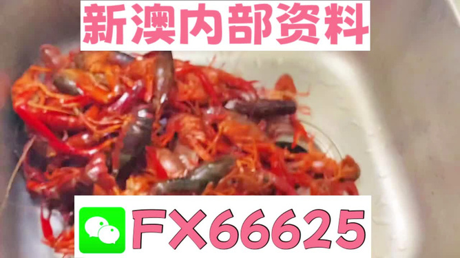 新澳天天开奖资料大全62期,赤龙鲤鱼竿_重点版v3.1.213