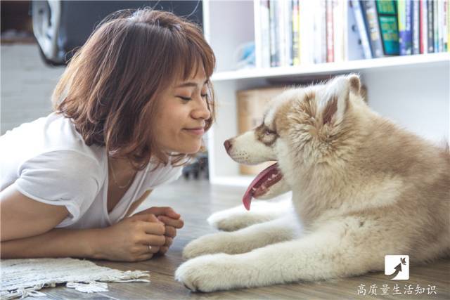 新奥最精准资料大全,橘子狗狗能吃吗_高配版3.84