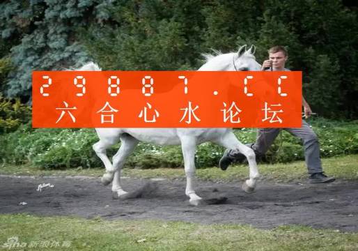 7777788888新版跑狗图论坛,实地数据执行分析_U59.783